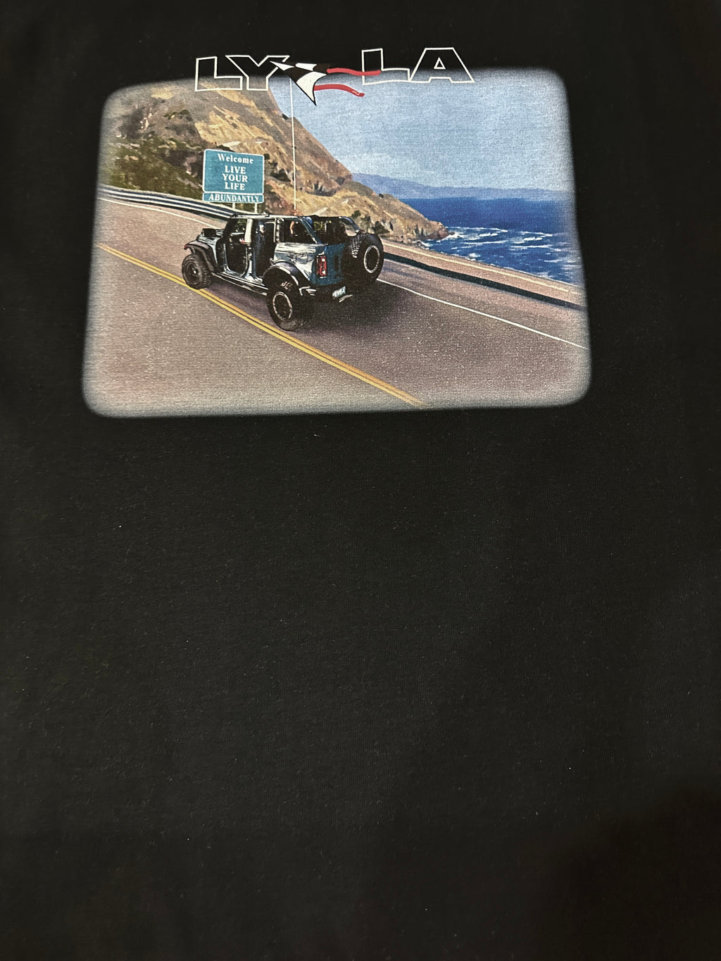 Welcome to L Y L A Heavyweight Long Sleeve t-shirt